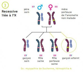 Comprendre les maladies génétiques